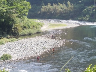 鮎釣り.jpg