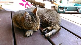 KIMG0353_20180330111829.jpg