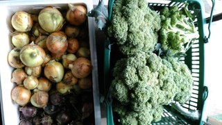 KIMG0396_20180605115608.jpg