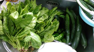 KIMG0405_20180625122101.jpg