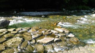 KIMG0407_20180702161337.jpg