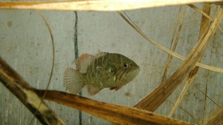KIMG0421_20180818101347.jpg