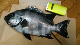 KIMG0455_20181018103035.jpg