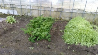 KIMG0490_20181210102345.jpg