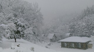 KIMG0543_20190126111636.jpg