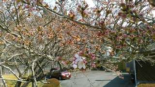 KIMG0573_20190328111707.jpg