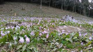 KIMG0577_20190329175834.jpg