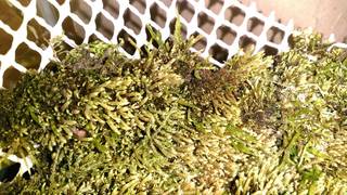 KIMG0595_20190603131131.jpg