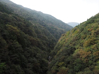 PA201422.jpg
